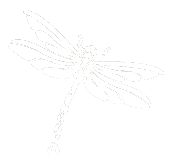 ghost dragonfly